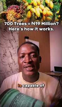 How Cashew Farming Can Generate Millions 💰 #CashewFarming #Agribusiness #CashCrop