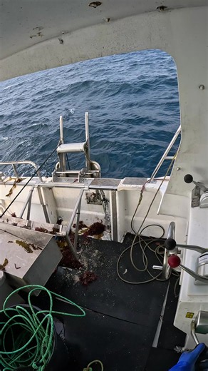Lobster and Crayfish Fishing: All in the Tank Tips and Tricks