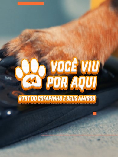 🕵️‍♂️ 🔍 Ora, ora, ora... se não é ele: dono do farejar mais apurado do bairro, nosso TBT de hoje é do Holmes, Xeroque Holmes! 🧐 ✨ #TBT #AmortecedorÉCofap #VocêViuPorAqui