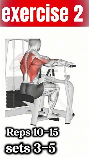 8 Upper Body Exercises for Next-Level Muscle Growth 🚀