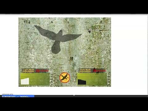 Peppered moth simulation