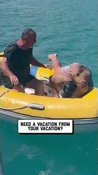 Crazy Fails Compilation