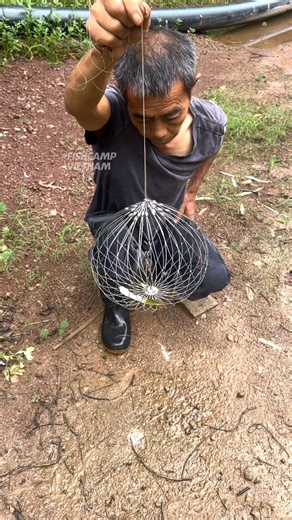 fishcampvietnam on Instagram: "One pull, instant catch—this automatic fishing net turns waiting into winning! 🎣🔥 Perfect for shrimp, crab, and fish, it opens fast and traps smart for effortless fishing anytime. 🦐🐟 Foldable, portable, and super effective—your secret weapon for bigger hauls! 💪💼 Tap the link and upgrade your fishing game today! 🚀 #automaticfishingnet #fishinggear #shrimptrap #crabtrap #fishinglife #fishingsetup #fishingtools #nightfishing #outdoorfishing #fishermanlife #fish