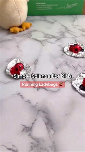Simple Science - Make Running Lady Bugs DIY