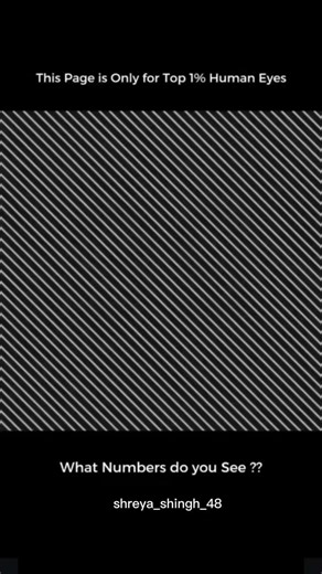 Shreya__shingh_ on Instagram: "99�il . . . . . . . . . . . . The Hong Kong-Zhuhai-Macau Bridge is 55 Kilometers long. The world's longest sea crossing. You drive on a bridge. Then you drive into a tunnel under the ocean. For 6.7 kilometers straight. Then you come back up on another artificial island. Two man-made island built in open water just to connect the bridge to the tunnel. Cost:$20 billion. Took 9 years to build. Used enough steel to build 60 Eiffel Towers. It cuts a 4-hour journey to 45