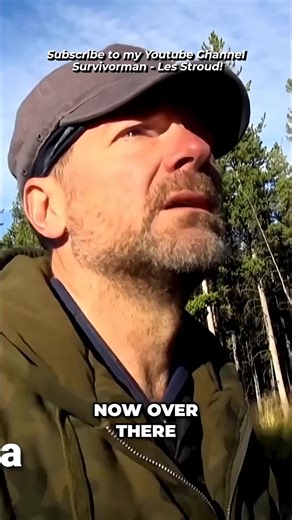 Mysterious Bigfoot Tree Structure - Why Build It Here#viral #usa🇺🇸 #tranding #fyp