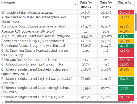 Racial Disparities Dashboard