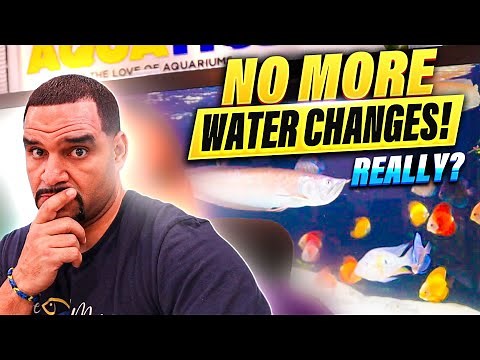 Freshwater Refugium REVOLUTIONIZES Aquarium Care!