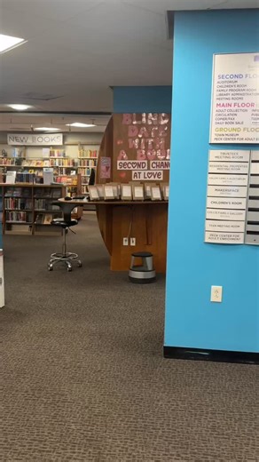 Everyone deserves a second chance. Even books! Our Blind Date with a Book display features titles that have only been checked out once—and they’re ready for their second chance at love. 💕 Take a risk, unwrap the mystery, and see if this is the one. #blinddatewithabook #library #secondchance #bookstagram #tbr | Barrington Public Library