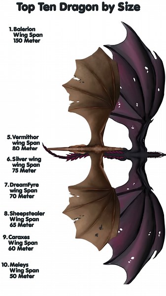 Top Ten dragons by size #dragon #houseofthedragon #HOTD