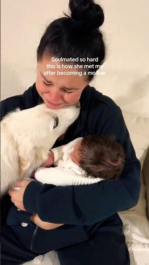 Dog Meets Newborn Baby! The Reaction is PRICELESS 😍🐶 #doglover #shorts