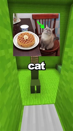 The Origins Of Popular Cat Memes