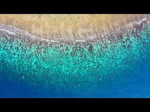 Coding Playlist #5 | Chill