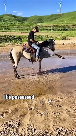 Horses aren’t just animals—they’re gentle companions who feel every bit of love we show them. And nothing builds that bond stronger than the way we feed and care for them each day. 🌾💕 A healthy horse starts with: 🥕 Fresh, clean feed that suits their needs 💧 Plenty of clean water through the day 🌿 Good pasture time to keep them happy 🧡 And of course… a little love in every meal When you run your hand along their neck, hear their soft nicker at feeding time, or see them relax after a good me