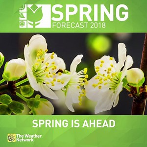 10K views · 133 reactions | When will winter end and spring begin?...