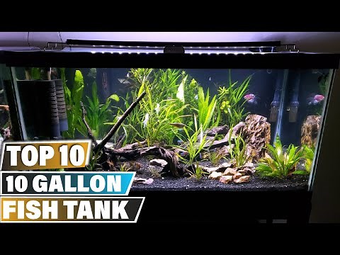 Fish Tank: ✅ Best 10 Gallon Fish Tanks 2025 (Buying Guide)