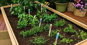 DIY Garden Markers