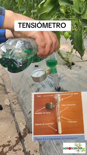 Tensiometro: Herramienta Esencial para el Riego en Cultivos