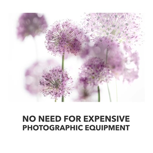 2.6K views · 137 reactions | Request the download of this FREE plant photography guide and take your plant and flower photography to the next level. The tips in this guide are inexpensive and easy ways to improve your photography and deliver truly beautiful shots. Produced by The Royal Photographic Society tutors, these experts will give you their insider tips to improve your photography. Get the FREE RPS plant photography guide now. | The Royal Photographic Society | Facebook