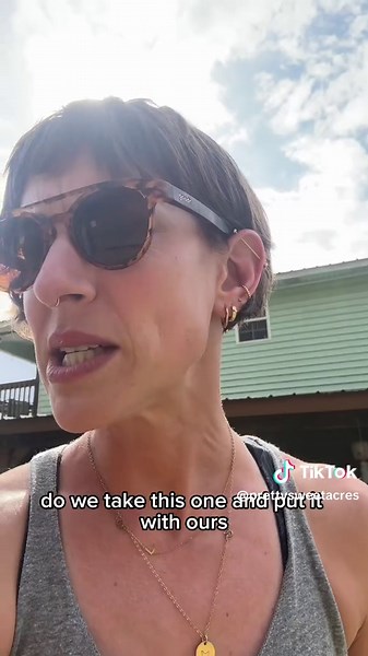 Baby Chick Surprise: Drama on the Homestead