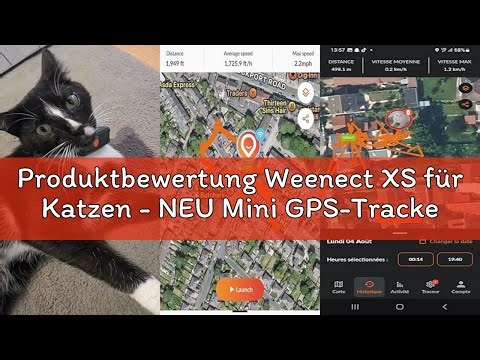 Produktbewertung Weenect XS für Katzen - NEU Mini GPS-Tracker für Katzen | GPS-Tracking in Echtzeit