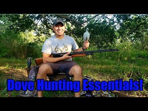 How to Dove Hunt for BEGINNERS|Dove Hunting Gear for Beginners| Carrasco Ranch