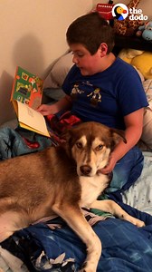 5M views · 123K reactions | Boy used to read Goodnight Moon to this dog in the shelter — and now he still reads it to him cuddled up at home ❤️ | The Dodo | Facebook