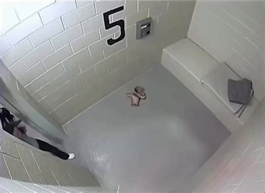 In the U.S. state of Illinois, USA, 47-year-old Cassandra Feuerstein was arrested on suspicion of drunk driving. During processing at the police station, police officer Michael Hart roughly pushed her into a cell. Cassandra's face hit a concrete bench. The result was horrific: multiple facial fractures, tooth loss, and permanent vision loss in one eye. A titanium plate was implanted in her face. The incident sparked widespread outrage when security camera footage emerged. Michael Hart, a seasone