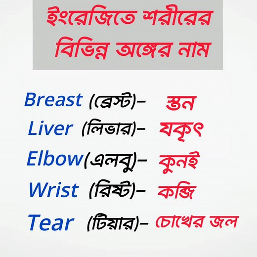 Nane parts of body in english#foryou #foryoupage #trending #support_me #vocabularyimprove #saifulenglishcare