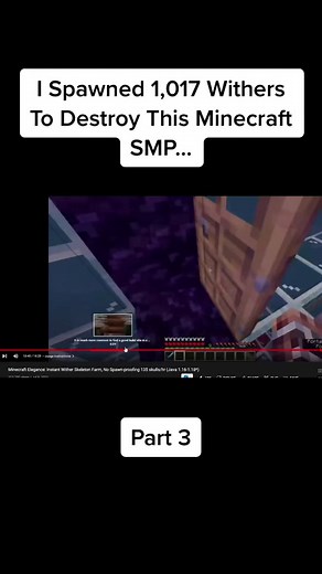 Surviving the Wither Skeletons in Minecraft SMP