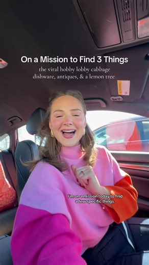 Antique Store Finds: Unique Treasures and Plant Shopping