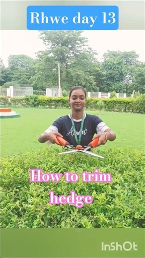 🌲🪴Hedge cutting by hand #rhwe #satisfying #ytshorts #shorts