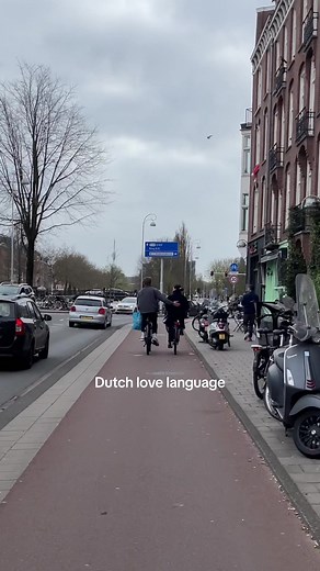 Exploring Dutch Love: Life and Culture in Amsterdam