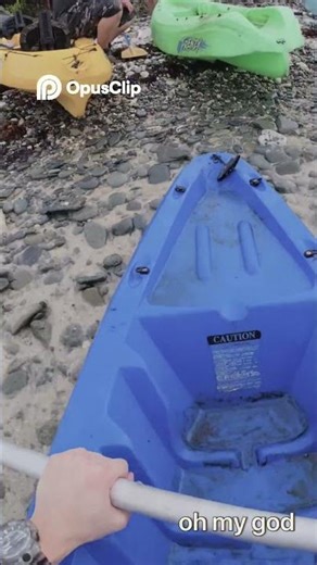 We're Sinking on Epstein's Island! ESCAPE NOW!