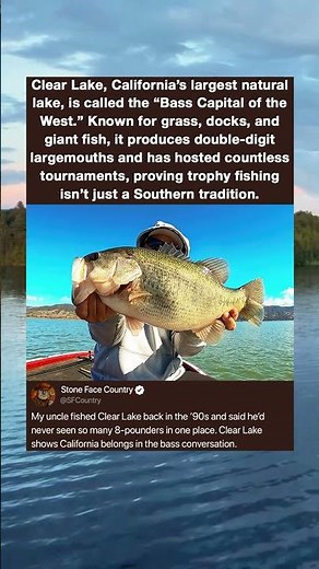 Clear Lake, California's largest natural lake, is called the "Bass Capital of the West." Known for