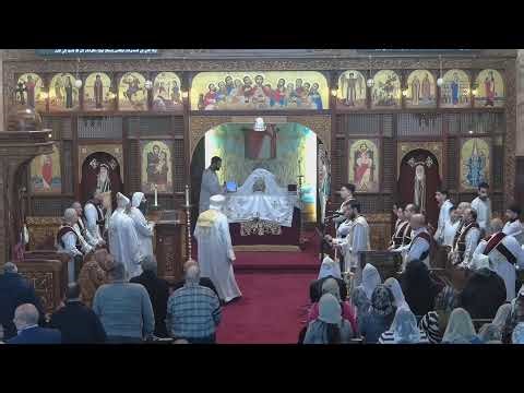 Live Stream Heilige Maria Kathedraal te Amsterdam