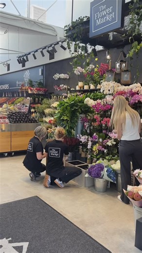 The Flower Market - Perth Florist on Instagram: "Water lilies have just arrived in-store and we’re in love 😍 Grab a fresh bunch for yourself before they’re gone! Find us inside The Herdsman Market, we’re open 7am - 8pm Which colour is your favourite?! #waterlily #waterlilies #herdsman #flowermarket #freshflowers #farmersmarket #flowers #perth"