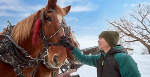 704K views · 804 reactions | This winter, let nature be your guide when you safely #ExploreMNAgain. #OnlyinMN | Explore Minnesota | Facebook