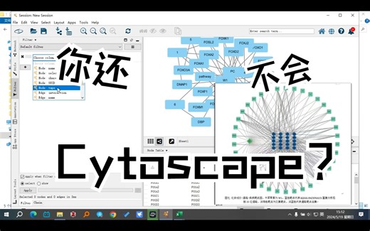 玩转Cytoscape