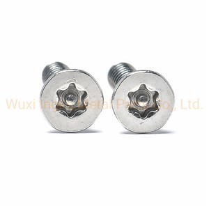 [Hot Item] Inox 18-8 Anti-Rust Self Tapping Screw Torx with Pin Anti-Theft Screws