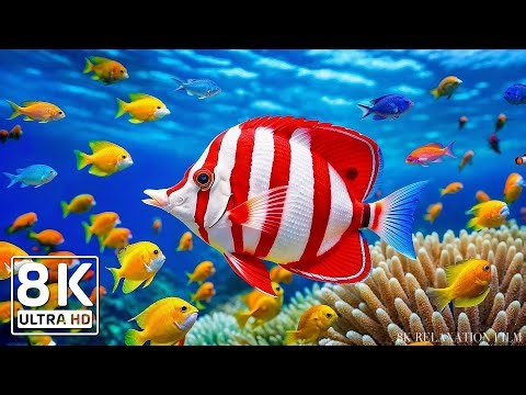 🐠 8K Ocean Soundscapes - Relaxing Ambient Sounds of the Deep Sea in 8K ULTRA HD #13