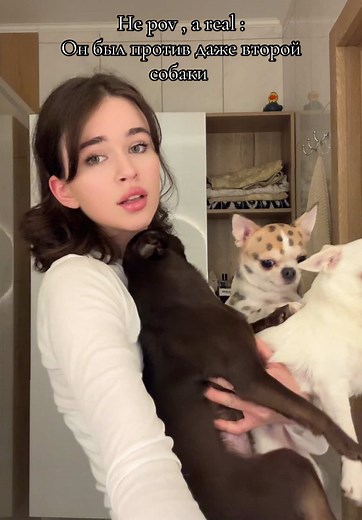 Chihuahua Aggression: Understanding and Managing Your Dog's Behavior