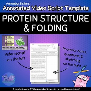 Protein Structure and Folding Annotated Video Script TEMPLATE - Amoeba Sisters