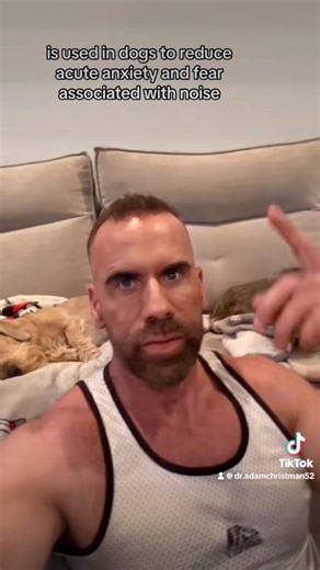 9.4K views · 294 reactions | Additional tips for noise aversion in dogs. #doghealth #happy4thofjuly #dogsofinstagram #veterinarian #dachshundfamily | Adam Christman | Facebook