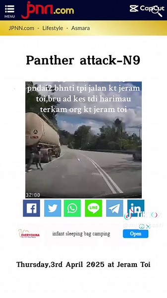 Serangan Harimau Kumbang Hitam Terhadap Pemandu Lori ☠️ Dibawa ke STJ Seremban utk rawatan kecemasan#news#fyp#animalattack #malaysia