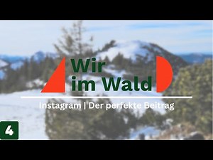 4. Der perfekte Post: So erstellen und veröffentlichen Sie Beiträge auf Instagram 🏆