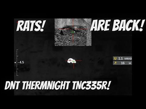 Air Rifle Rat Control with DNT Thermnight TNC335R and FX Dreamline .22 along the Farm lane!