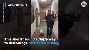 18K views · 13 reactions | Fluffy pup is a better and cooler driver than you. | USA TODAY Video | Facebook