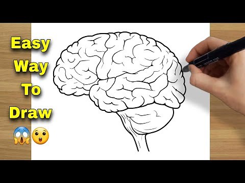 How To Draw Brain