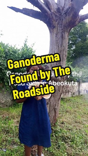 Farmer Shulammite on TikTok